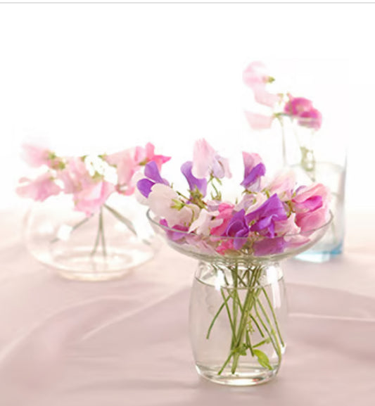 sweet Pea  moisturizing Body Oils