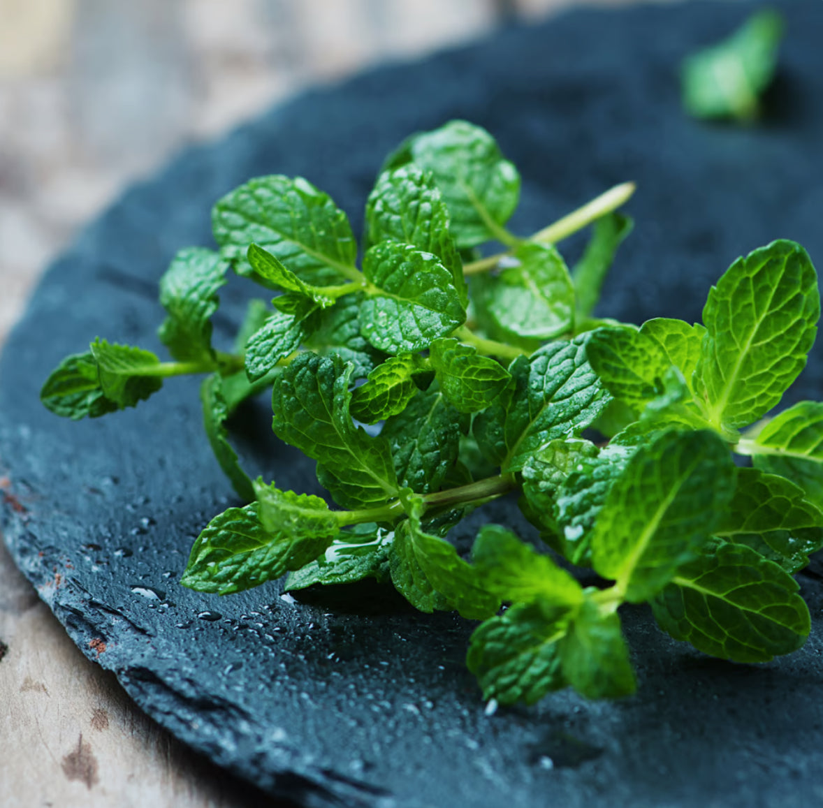 Double mint moisturizing Body Oils