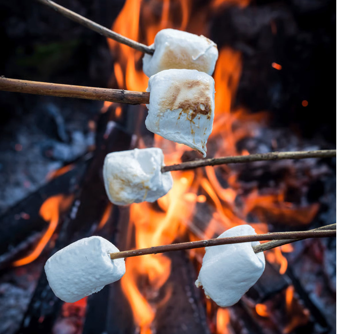 Campfire marshmallow
 moisturizing Body Oils