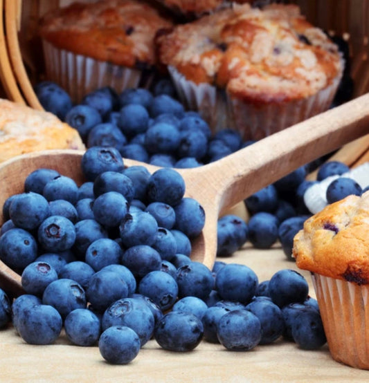 Blueberry Muffin moisturizing Body Oils