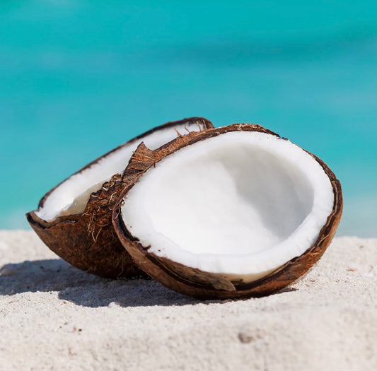 Caribbean Coconut Body Oils