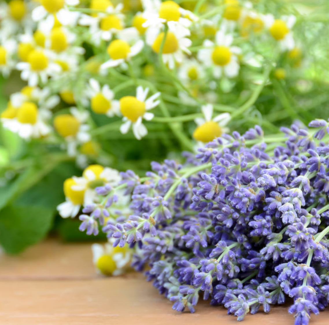 Chamomile and lavender  moisturizing Body Oils