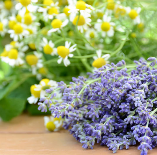 Chamomile and lavender  moisturizing Body Oils