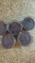 Grape Lip Scrub