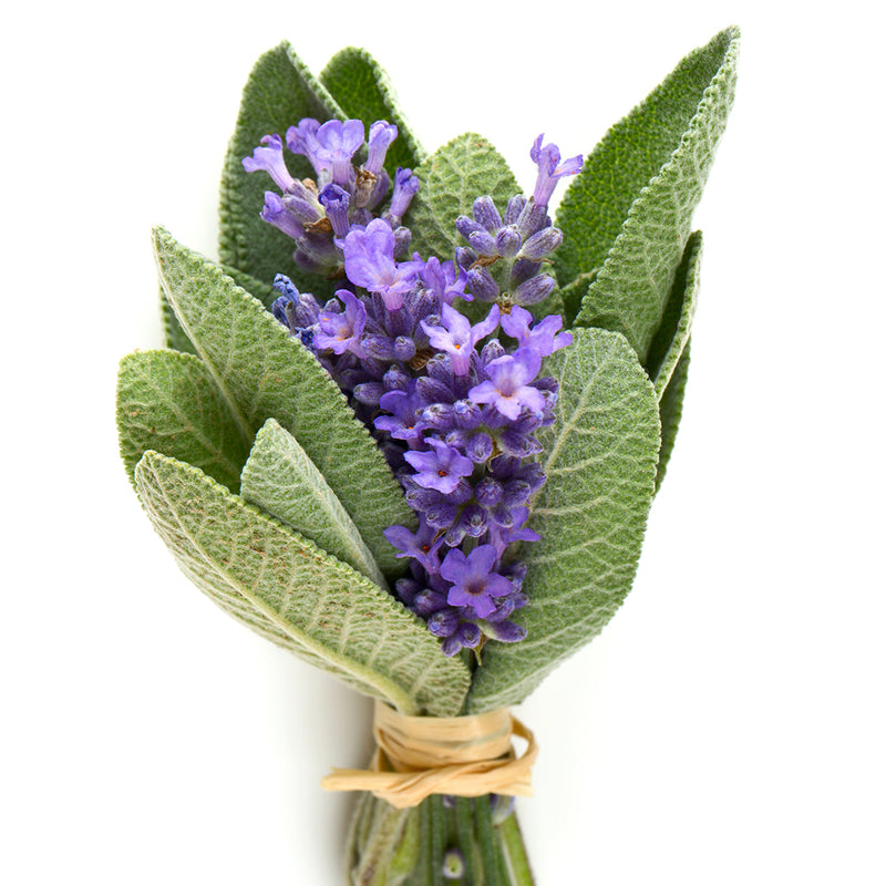 Lavender Sage  moisturizing Body Wholesale Oils